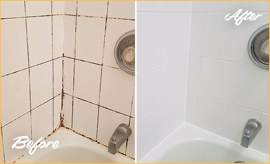Before and After Picture of a Wesley Chapel Shower Tile and Grout Cleaned to Eliminate Mold