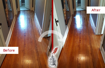 Sir Grout Refinished This Citrus Park Wood Floor with a Sandless Refinishing Service to Eliminate Scratches Before and After Picture of a Citrus Park Wood Sandless Refinishing Service on a Floor to Eliminate Scratches