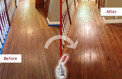 Sir Grout Refinished This Worn Out Citrus Park Wood Floor with a Sandless Refinishing Service Before and After Picture of a Citrus Park Wood Sandless Refinishing Service on a Worn Out Floor