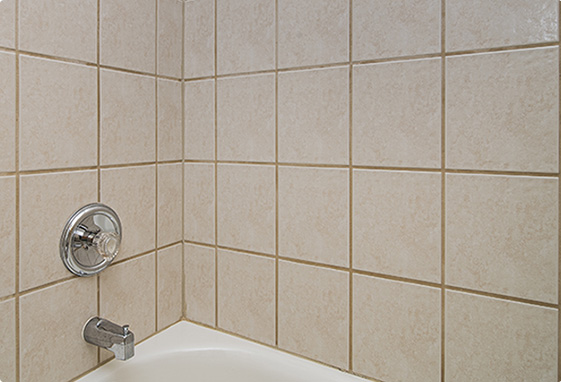 Tile and Grout Services Before