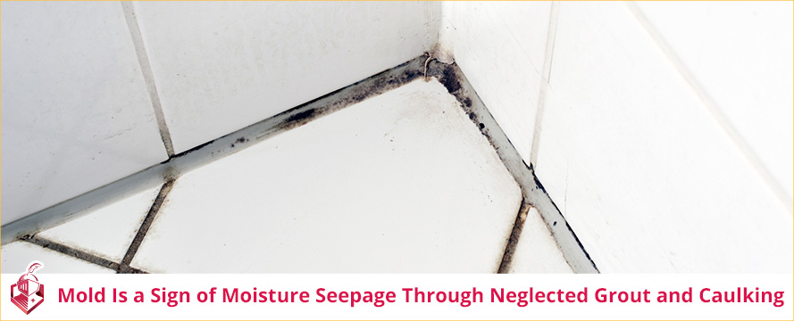 Mold Is a Sign of Moisture Seepage through Neglected Grout and Caulking