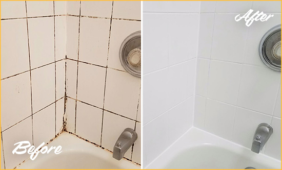 Before and After Picture of a St. Petersburg Shower Tile and Grout Cleaned to Eliminate Mold