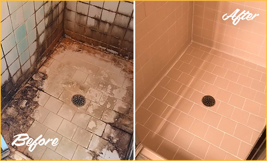 Before and After Picture of a Indian Shores Shower Tile and Grout Cleaned to Repair Water Damage