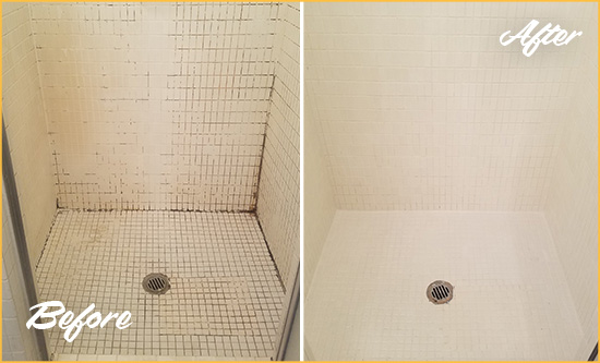 Before and After Picture of a Seffner Bathroom Grout Sealed to Remove Mold