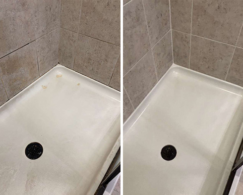 Shower Before and After a Tile Cleaning in Tampa, FL