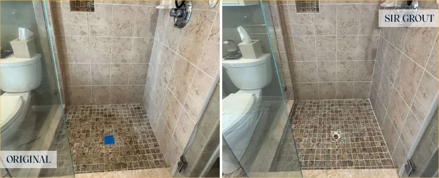 Shower Before and After a Flawless Tile Cleaning in Temple Terrace, FL