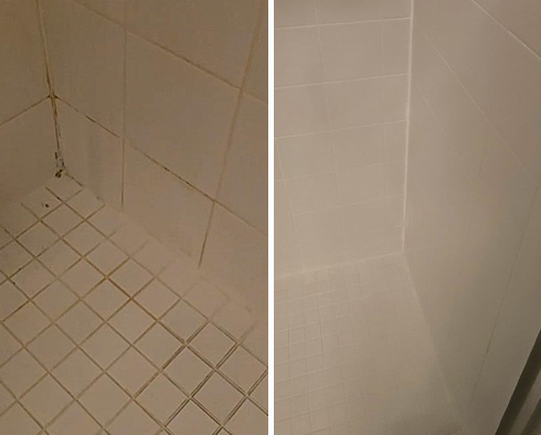 Shower Before and After a Tile Cleaning in Tampa, FL