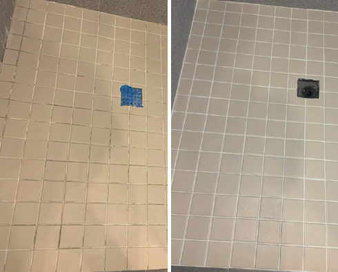 Shower Before and After a Tile Cleaning in Tampa, FL