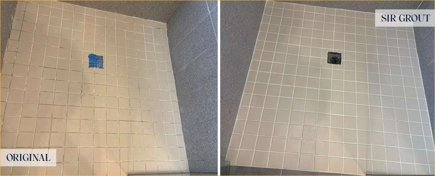 Shower Before and After an Excellent Tile Cleaning in Tampa, FL