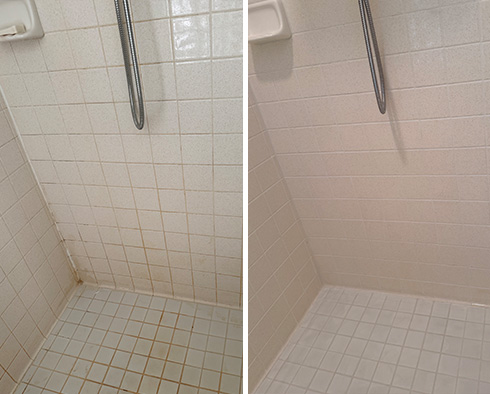 Shower Before and After a Tile Cleaning in Tampa, FL