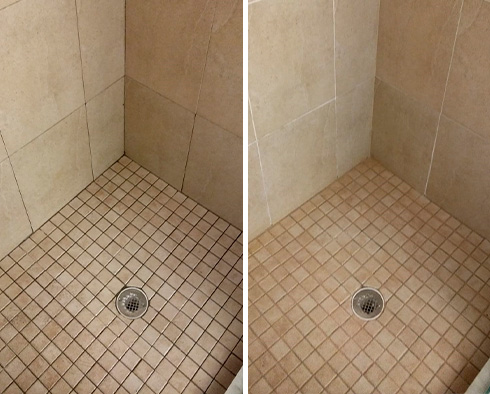 Shower Before and After a Grout Cleaning in Clearwater, FL