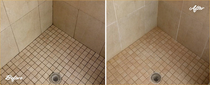 Best Shower And Tile Grout Cleaner Available On