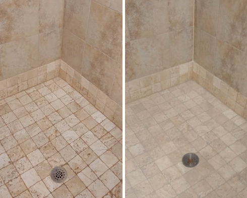 Before and After Our Shower Grout Sealing in Lutz, FL 