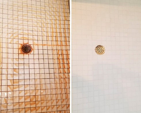 Before and After Our Shower Tile Cleaning in Valrico, FL