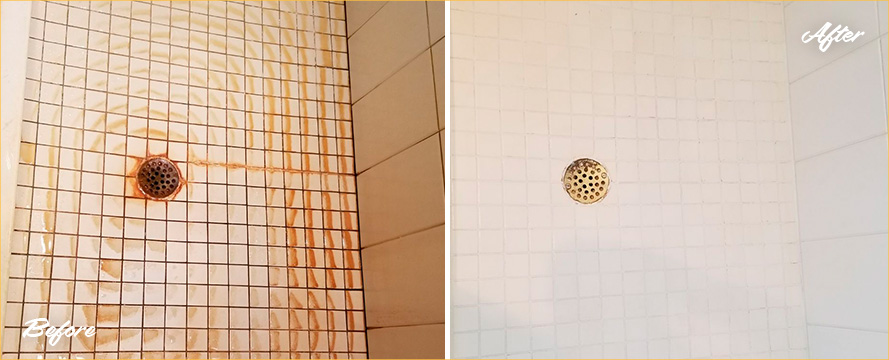 Before and After Our Shower Tile Cleaning in Valrico, FL
