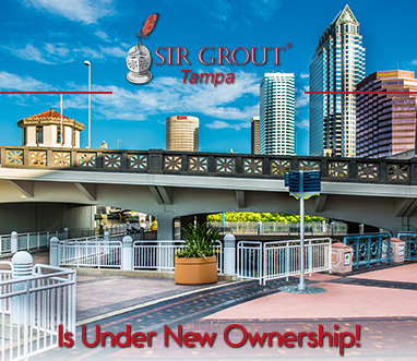 Tampa's Skyline Where Sir Grout Tampa's Location; It's Under New Ownership Led by Brain Fultz