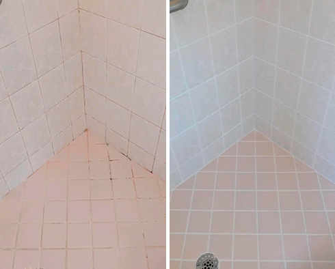 Shower Before and After Our Grout Cleaning Services in Tampa, FL