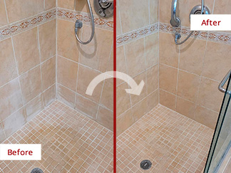 Shower Before and After Tile and Grout Cleaners in Lutz, FL
