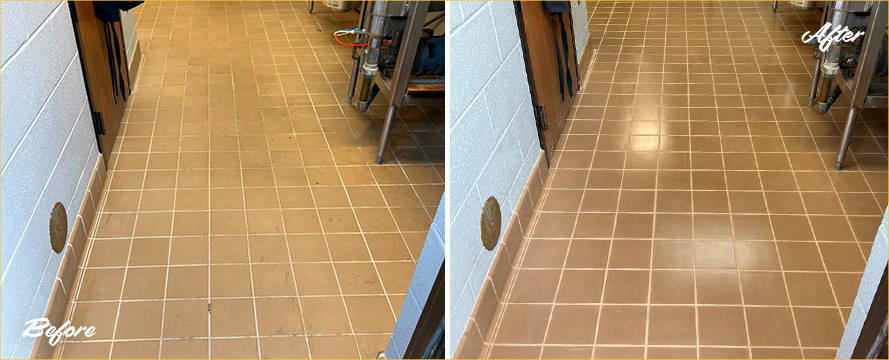Kitchen Floor Restored by Our Tile and Grout Cleaners in Tampa, FL