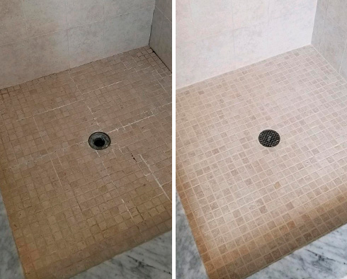 Shower Before and After a Tile Cleaning in Tampa, FL