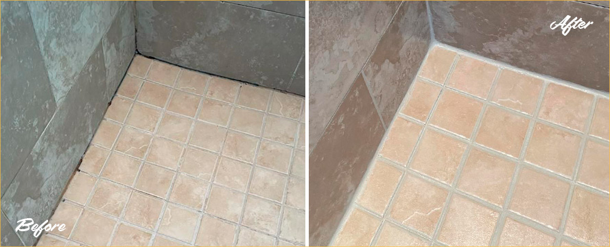 Shower Restored by Our Professional Tile and Grout Cleaners in Tampa, FL