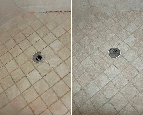 Shower Before and After a Grout Cleaning in St. Petersburg, FL