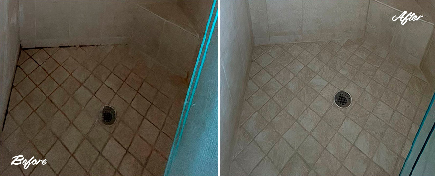 Shower Before and After a Remarkable Grout Cleaning in St. Petersburg, FL