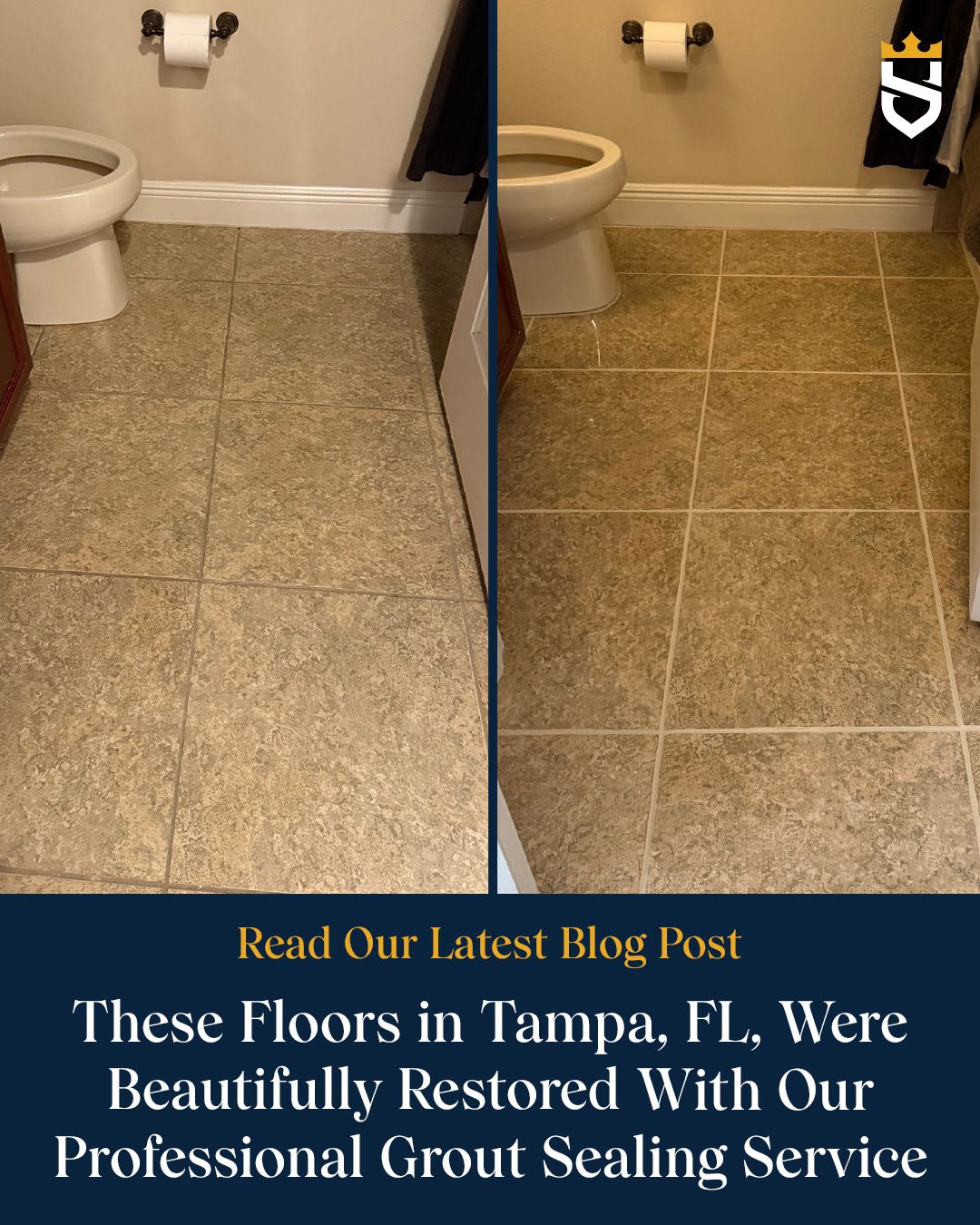 These Floors in Tampa, FL, Were Beautifully Restored With Our Professional Grout Sealing Service