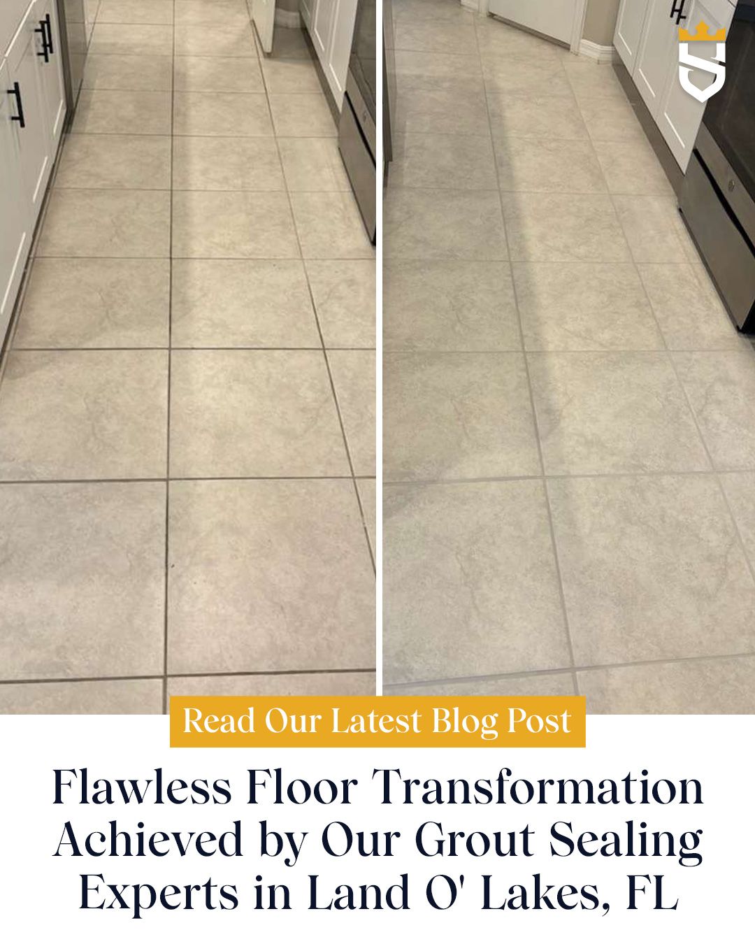 https://www.sirgrouttampa.com/blog/flawless-floor-transformation-achieved-grout-sealing-experts-land-o-lakes/