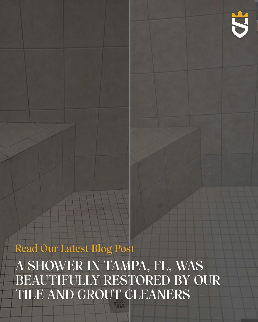 A Shower in Tampa, FL, Was Beautifully Restored by Our Tile and Grout Cleaners