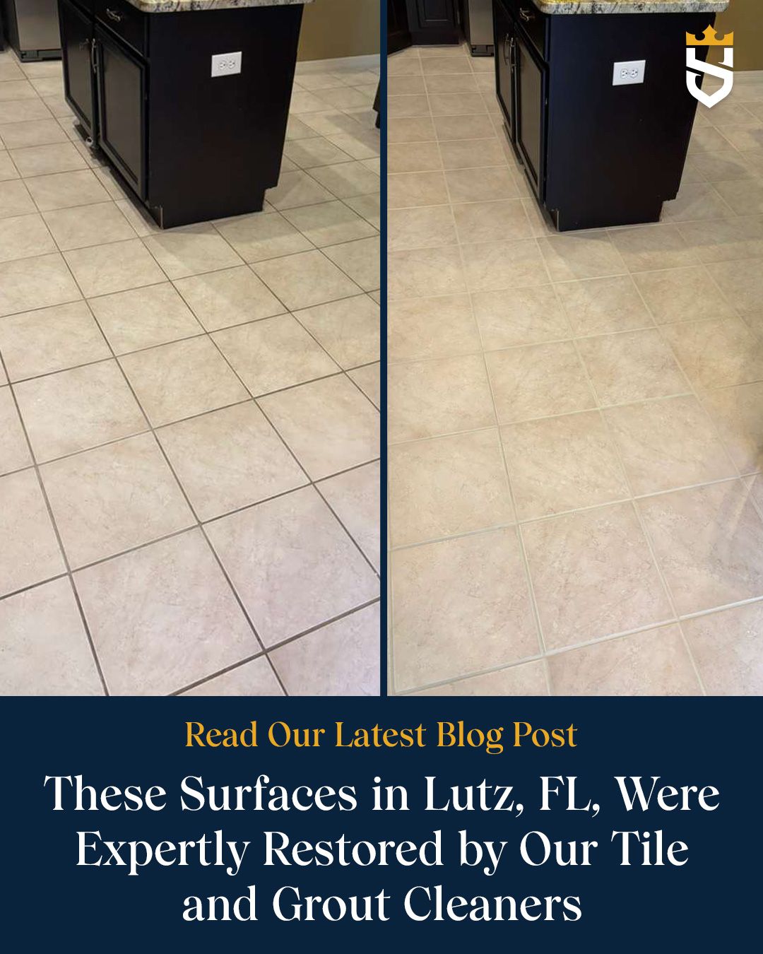 These Surfaces in Lutz, FL, Were Expertly Restored by Our Tile and Grout Cleaners