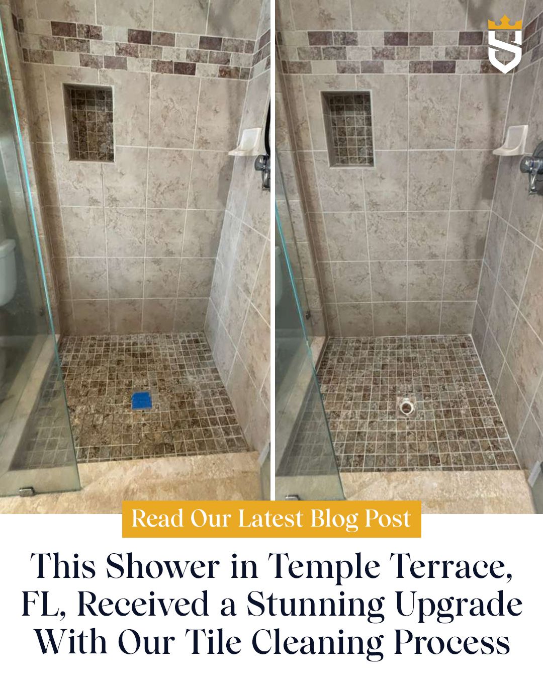 This Shower in Temple Terrace, FL, Received a Stunning Upgrade With Our Tile Cleaning Process