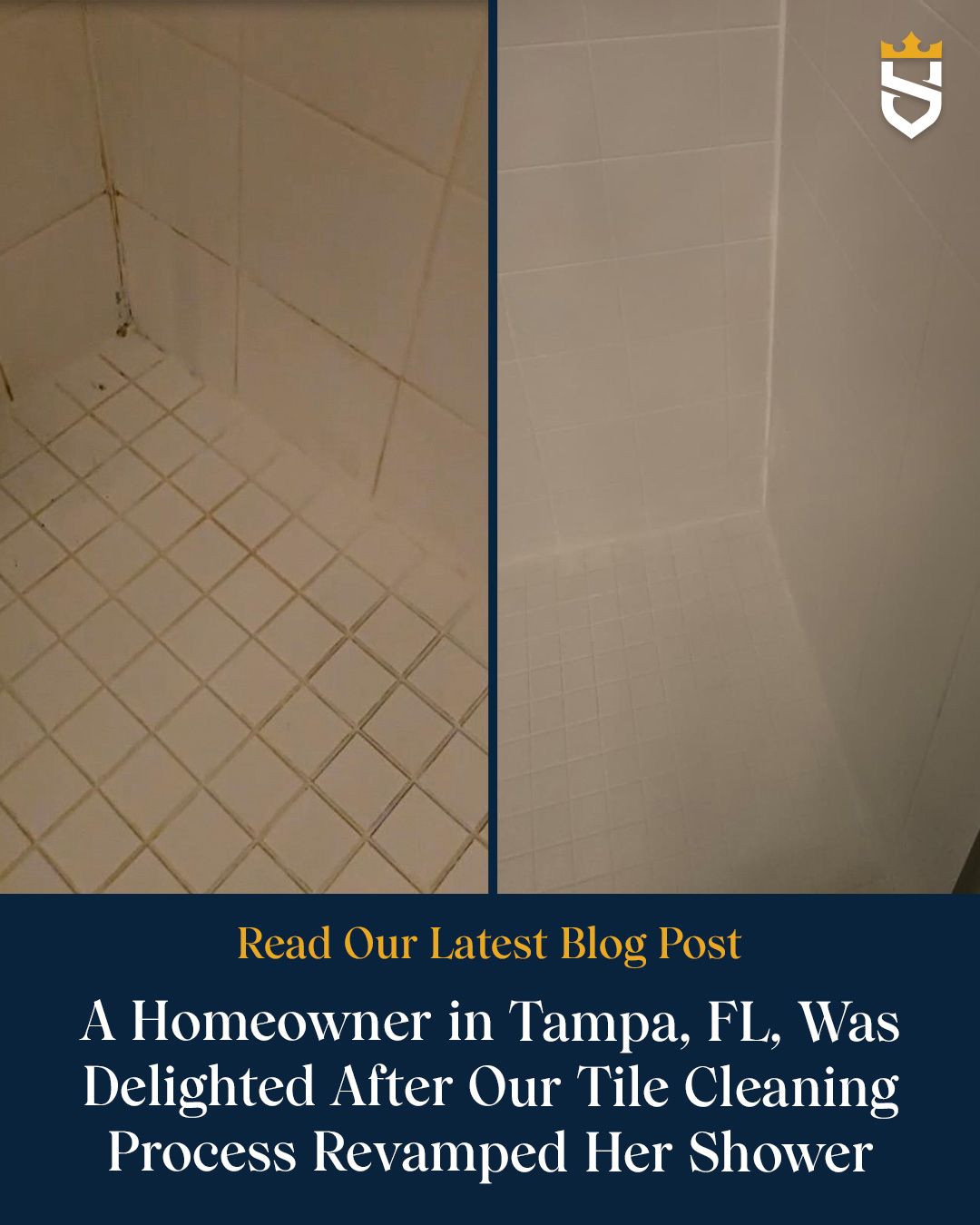 A Homeowner in Tampa, FL, Was Delighted After Our Tile Cleaning Process Revamped Her Shower