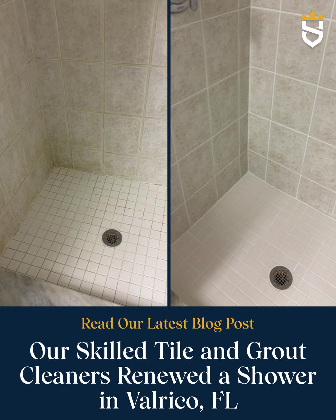 Our Skilled Tile and Grout Cleaners Renewed a Shower in Valrico, FL
